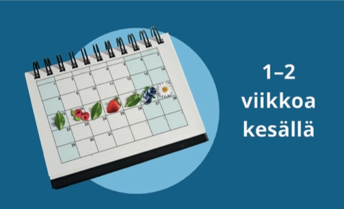 1-2 viikkoa kesalla