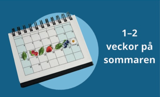 Visualisointia 1-2 veckor på sommaren