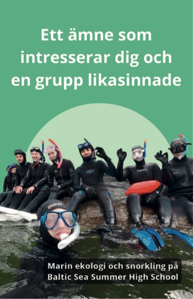 Visualisointia ett ämne som intresserar dig och en grupp likasinnade