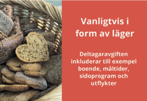 Visualisointia vanligtvis i form av läger (deltagaravgiften inkluderar till exempel boende, måltider, sidoprogram och utflykter